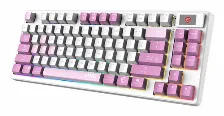 Teclado Inalambrico Msi Forge Gk600 Tkl W Violet Us Inalambrico / Bluetooth / Usb 2.0 / Rgb